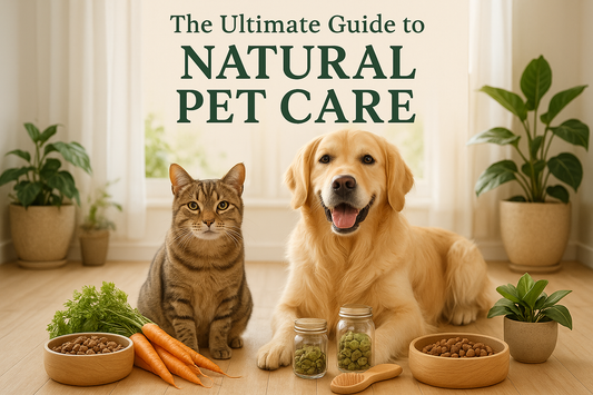 The Ultimate Guide to Natural Pet Care: Simple Ways to Keep Your Pet Healthy