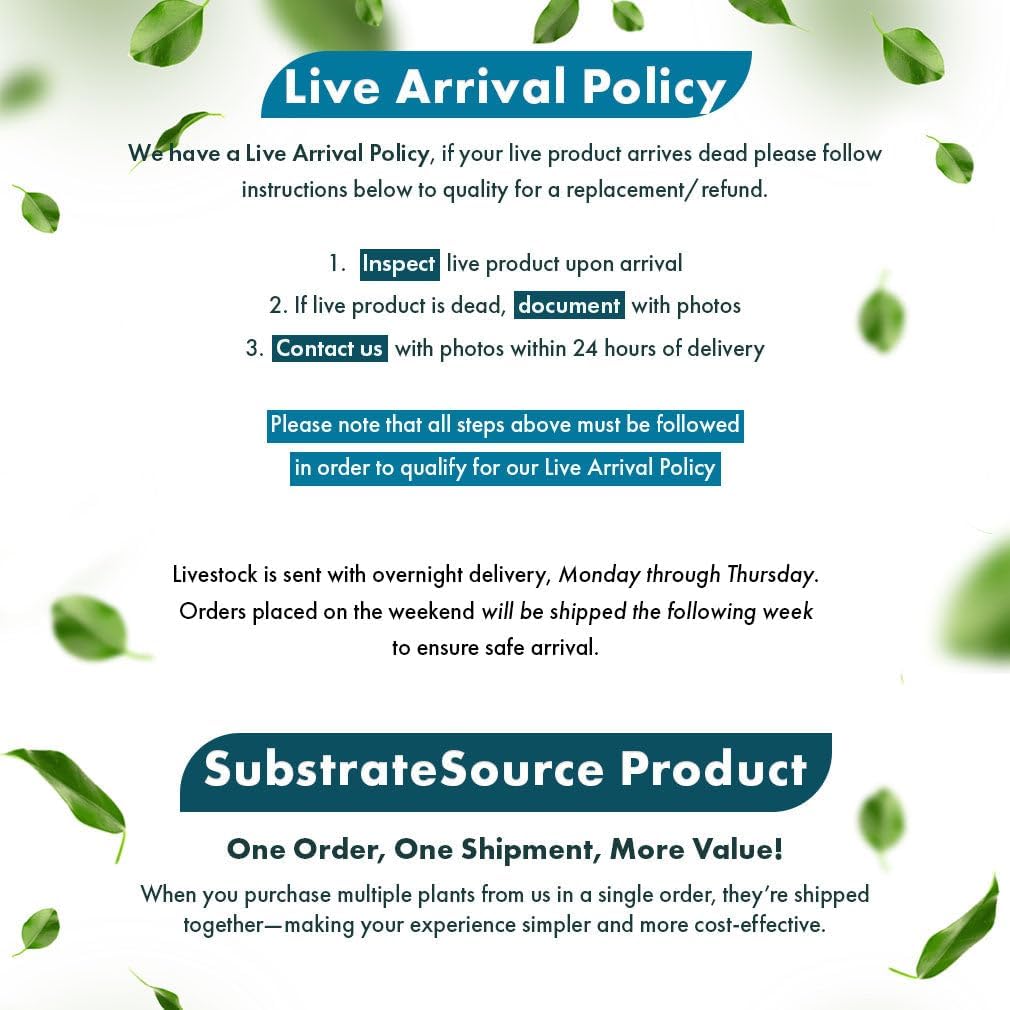 SubstrateSource Crinum Calamistratum Live Aquarium Plant – African Onion Plant, Slow-Growing Freshwater Aquatic w/Curly Green Leaves for Planted Tanks, Background or Midground Tank Placement - Bulb