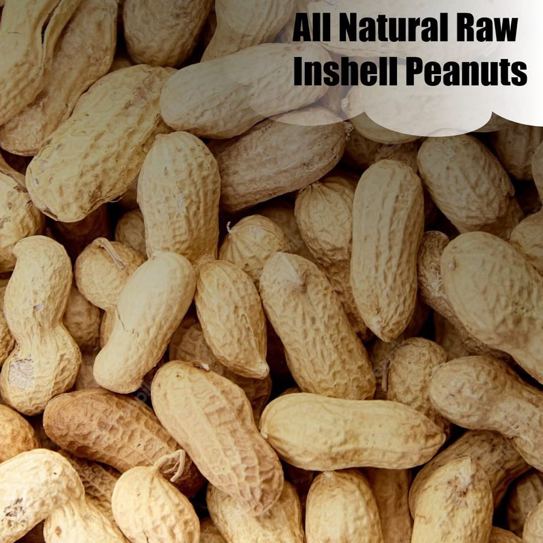 Old Potters Wildlife in-Shell Peanuts for Birds, Squirrels and Wildlife. USA Grown Non-GMO Raw in-Shell Peanuts (in-Shell, 8 lbs)