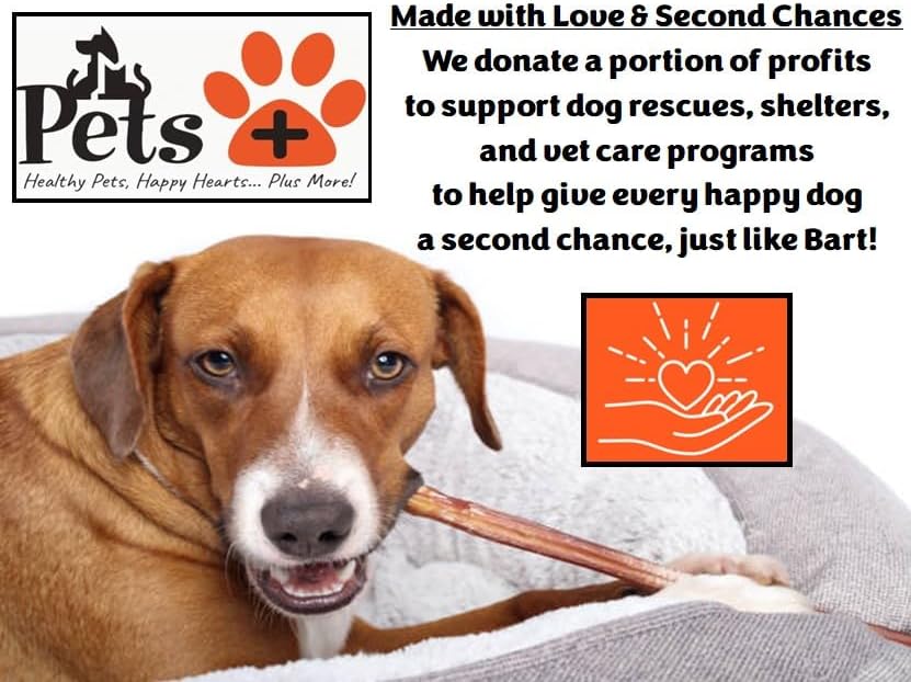 Pets Plus Premium Bart's Bully Sticks for Dogs – 6 Inch, Medium Size, All-Natural, Long-Lasting Chews for Moderate Chewers – High Protein, Low Odor, Grain-Free (10-Pack)