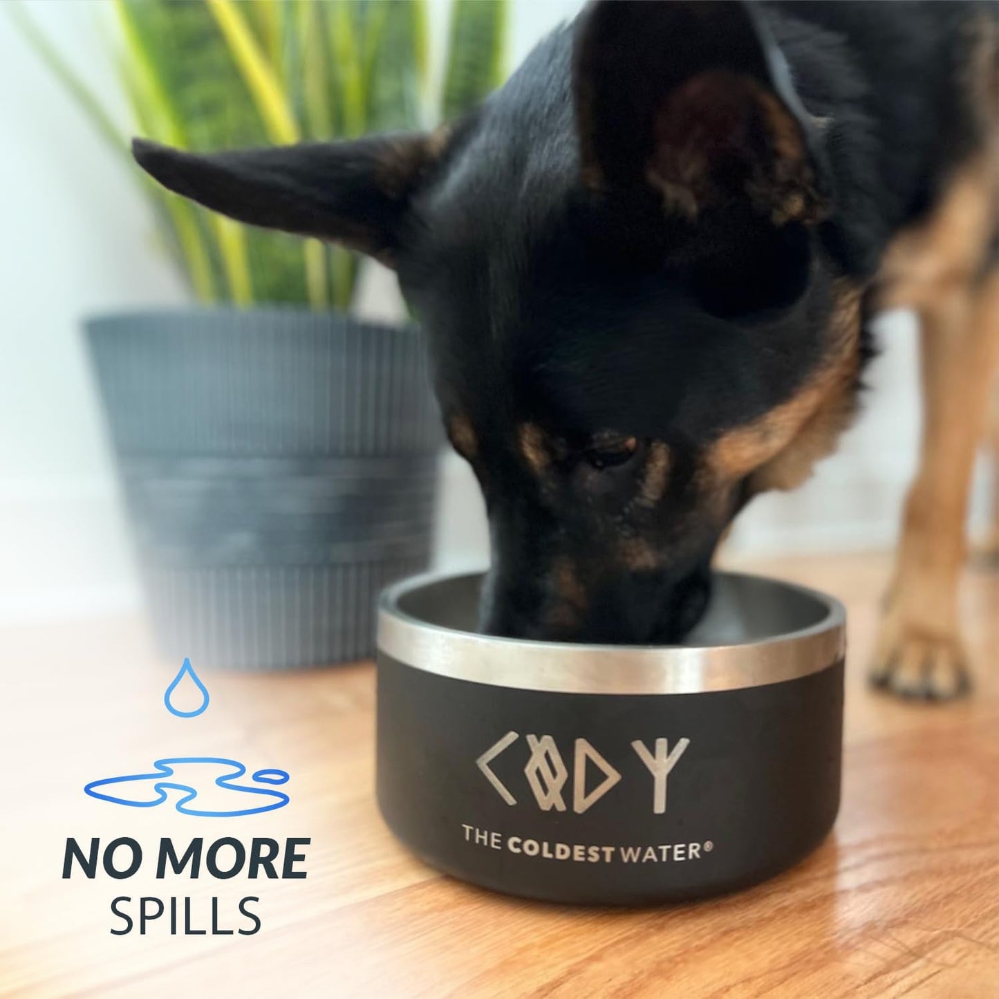 Coldest Dog Bowl - Anti Rust Metal, Non Slip, 3 Layers Insulated Stainless Steel Dog Bowls - Spill Proof & Heavy Duty - Water Bowl for Dogs, Cats & Pets, Dish Washer Safe (42 oz, Solar Yellow)