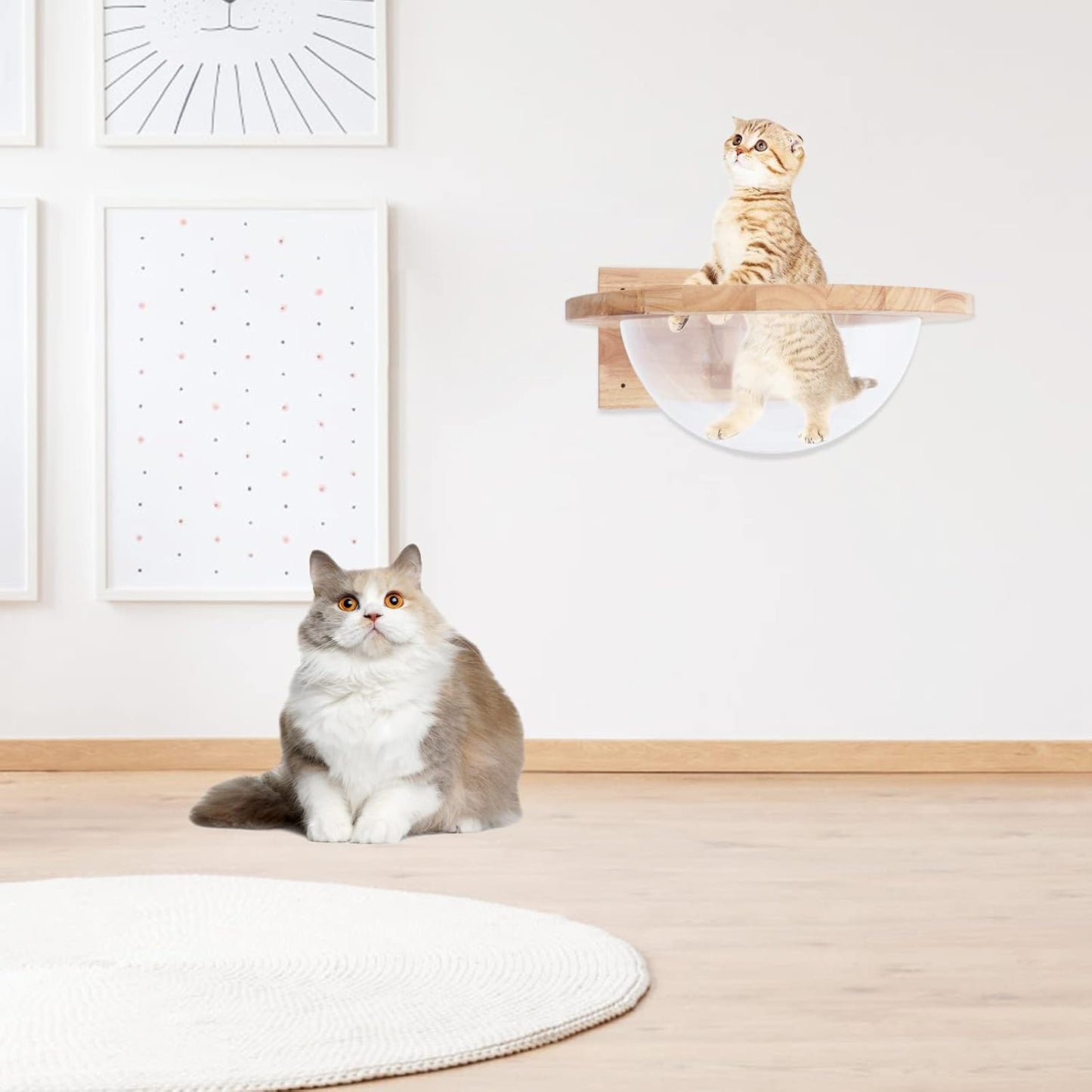 Wooden Cat Hammock, Clear Space Capsule Cat Bed, Wall-Mounted Kitten Walls Shelves Kitty Beds Small Pets Beds, Cats Toy Perch House for Sleeping, Playing, Climbing and Lounging