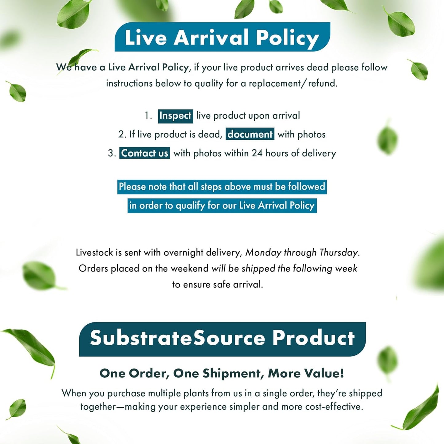 SubstrateSource Live Aquarium Stem Plants - Freshwater Aquatic Plant for Fish Tanks, Aquascaping - (Bacopa Monnieri Variegatus, 1 Bunch)