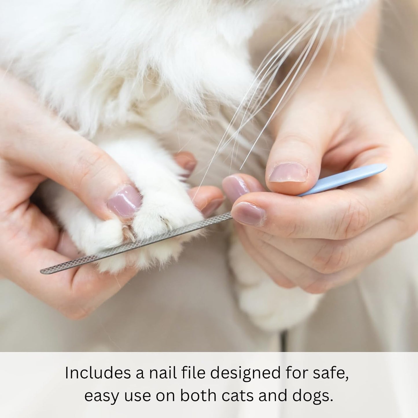 AIXINPET Dog & Cat Nail Clippers and Trimmers - with Free Nail File, Protective Guard to Avoid Over Cutting, Extra Sharp Blade - Suitable for Small to Large Dogs, Puppies, Birds and Rabbits (Large)