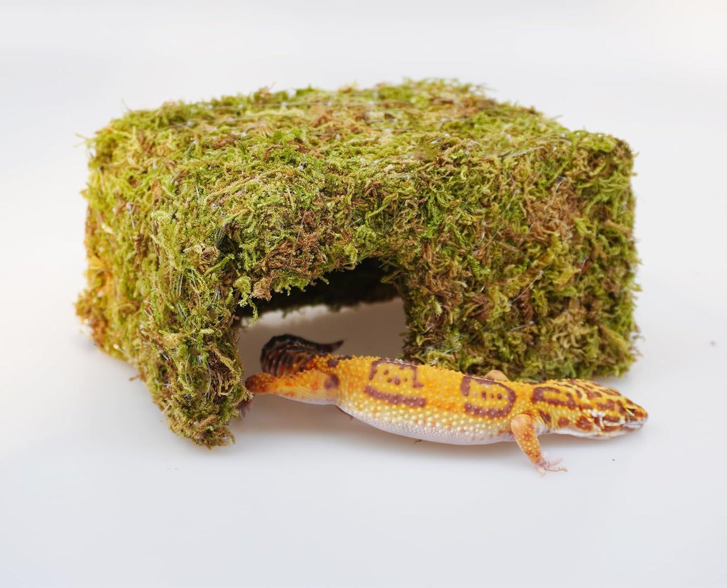 Leopard Gecko Tank Accessories, Cute Reptile Hideout Cave, Essential Tank Terrarium Habitat Decor, Adjustable Toys Supplies
