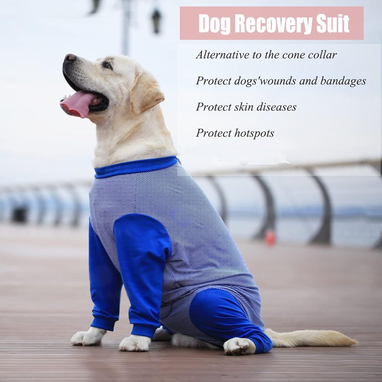 Yeapeeto Dog Onesie Surgery Recovery Suit for Large Medium Bodysuit Dogs Pajamas PJS Full Body for Shedding, Prevent Licking, Wound Protection, Cone Alternative (7X-Large (Pack of 1), Blue)