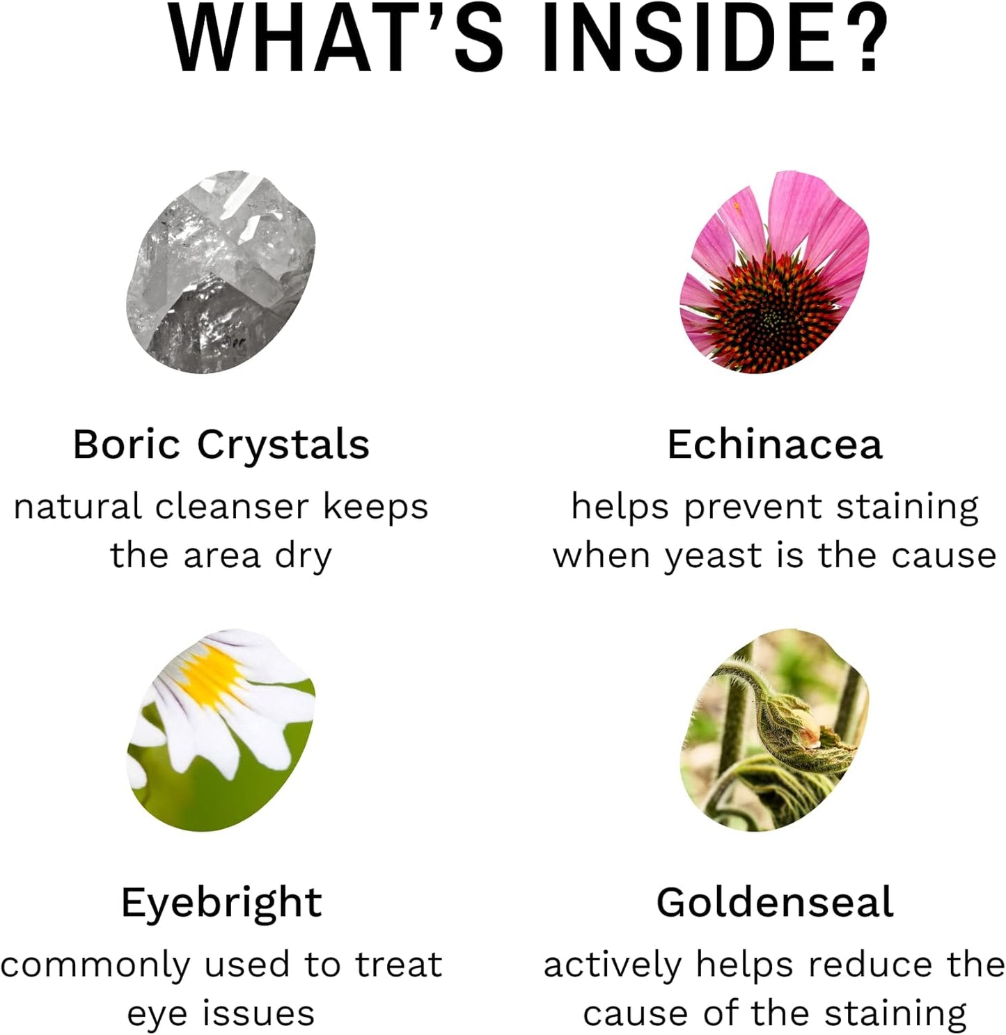 Eye Envy Tear Stain Remover Powder for Dogs and Cats. 100% Natural, Safe. Apply Around Eyes. Absorbs and Repels Tears. Keeps Area Dry. Treats The Cause of Staining. Made in The USA. (.5 oz)