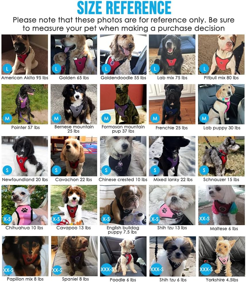 Lukovee Dog Seat Belt - Adjustable Dog Car Harness for Large, Medium, Small Dogs - Soft Padded & Breathable Mesh Dog Seatbelt with Vehicle Connector Strap (Orange, Small)