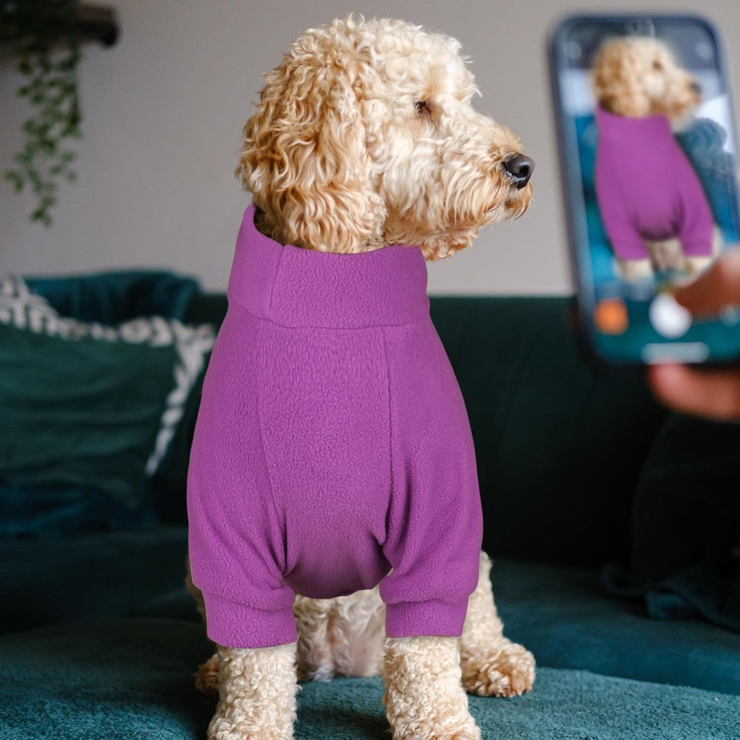 3 Pack Dog Sweater Fleece Pet Clothes Turtleneck Soft Warm Sweatshirt Dog Sweaters for Small Dogs Puppy Sweater Boy Girl Pet(Pink+Hotpink+Purple,XS)