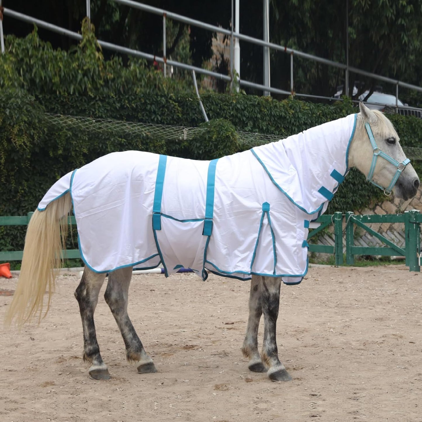 Horse Fly Sheet with Detachable Neck Cover & Belly Wrap, Adjustable Fly Sheet for Horses, Ventilated Airflow Mesh Equine Cooling Summer Flysheet White 78