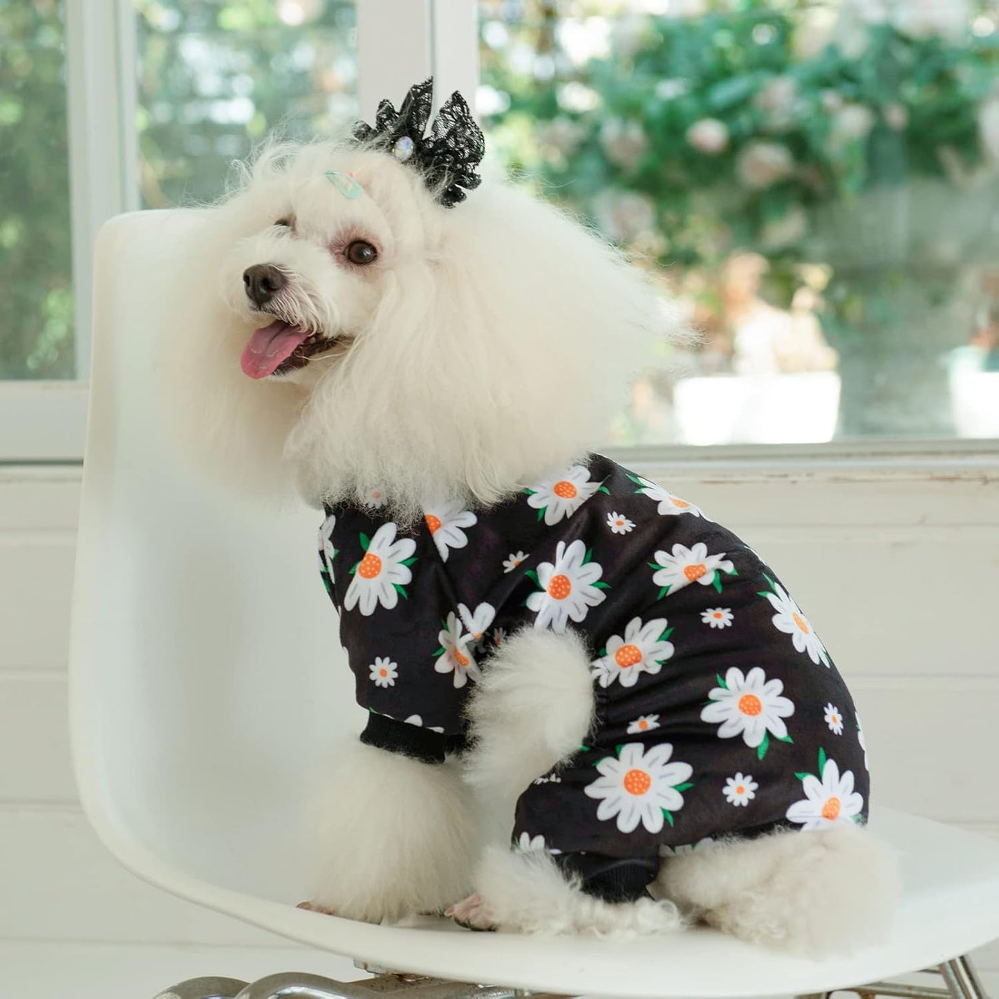CuteBone Small Dogs Outfit Soft Puppy Onesies Pjs Dog Pajamas Pet Coat Cat Apparel Comfy Doggie Jumpsuit Bodysuit for All Seasons P221L