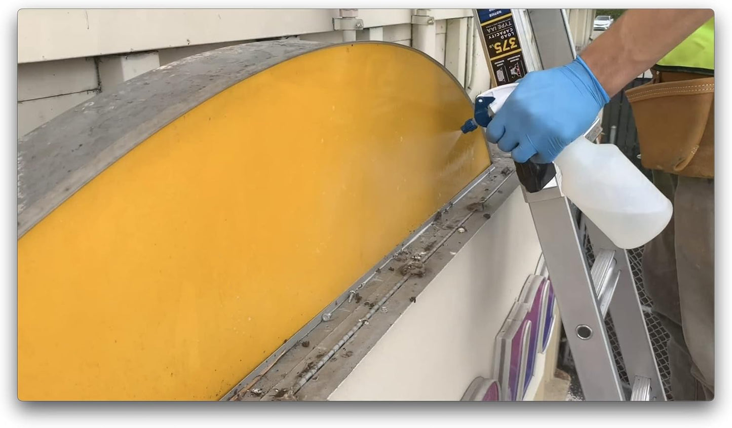 BIRD BARRIER Dissolve-It Enzyme Cleaner - Bird Dropping - Dissolves Waste – Treat Affected Areas Before Installing Bird Control Products - 1 Gallon Makes 2 Gallons