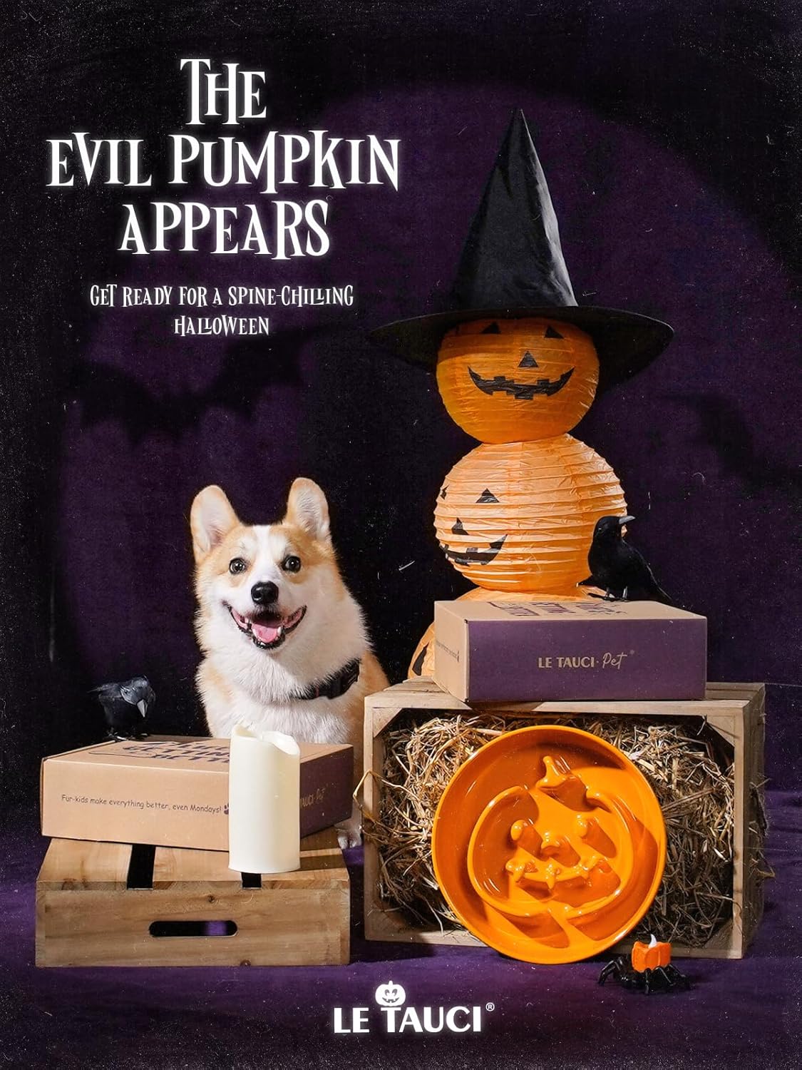 LE TAUCI Ceramic Puzzle Feeder Elevated 3 Cup with Wood Stand for Small Medium Dog & Puppy, Fast Eater Raised Dish Pumpkin Orange