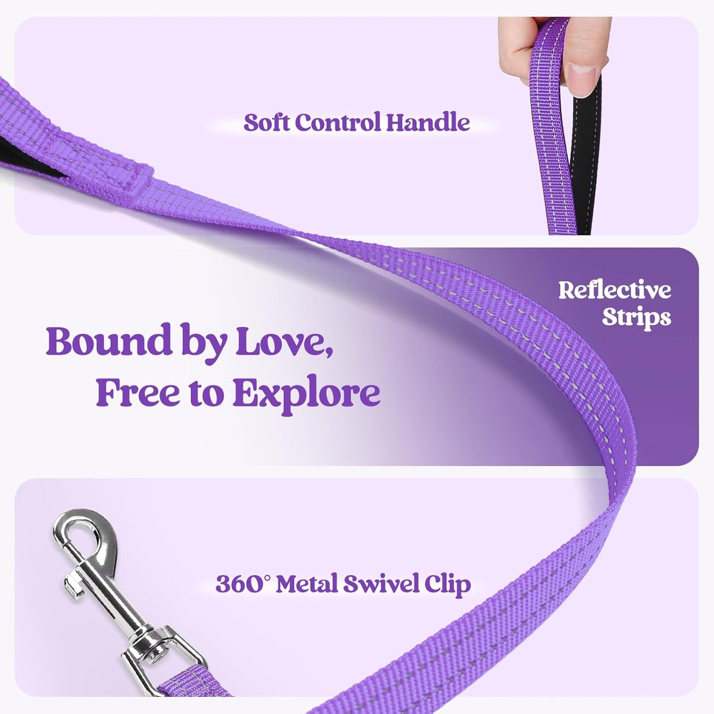 rabbitgoo Dog Harness Small Sized and Leash Set, Step in Soft Light Puppy Vest, Breathable Mesh Pet Harness, Reflective for Safe Outdoor Walking, Purple M