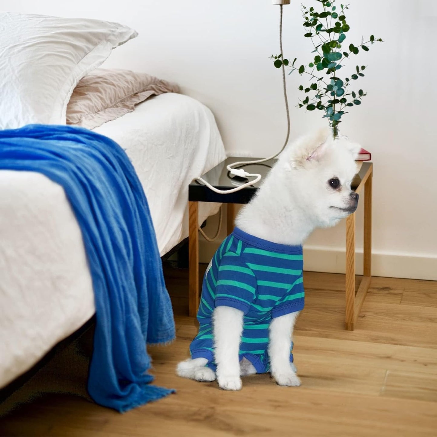 TONY HOBY Dog Pajamas for Female/Male, Dog Jumpsuit with Stripes for Small Medium Dogs, Soft and Comfortable 4 Legged Pajamas Dogs Clothes (Blue&Green, Boy, L)