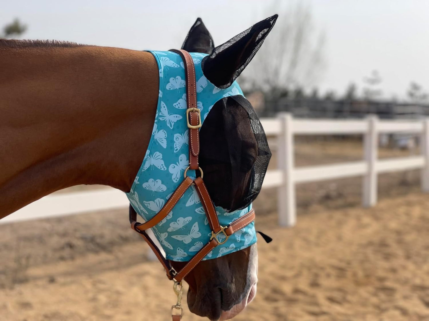 Horse Fly Mask Super Comfort Horse Fly Mask Elasticity Fly Mask with Ears We Only Make Products That Horses Like… (Lake Green, L)