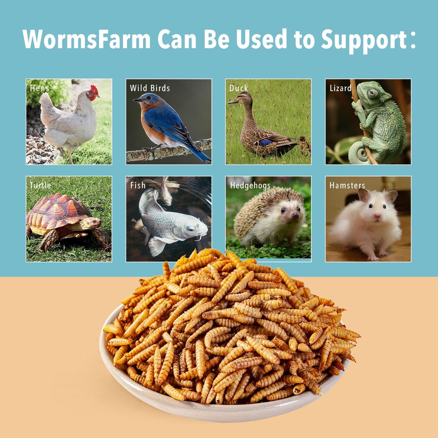 11LB Dried Black Soldier Fly Larvae,Chicken Feed More Calcium Than Mealworms for Chickens,Laying Hens,Blue Birds