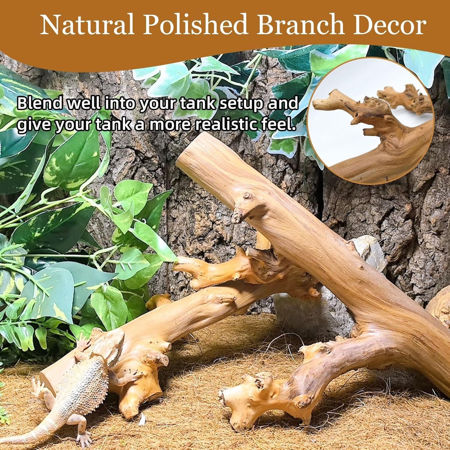 kathson 2PCS Snake Climbing Branch,Reptile Wood Branches Decor, Lizard Natural Polished Wood Climb Accessories,Reptiles Habitat Tank Tree Trunk Decorations for Bearded Dragon Geckos Chameleons Frog