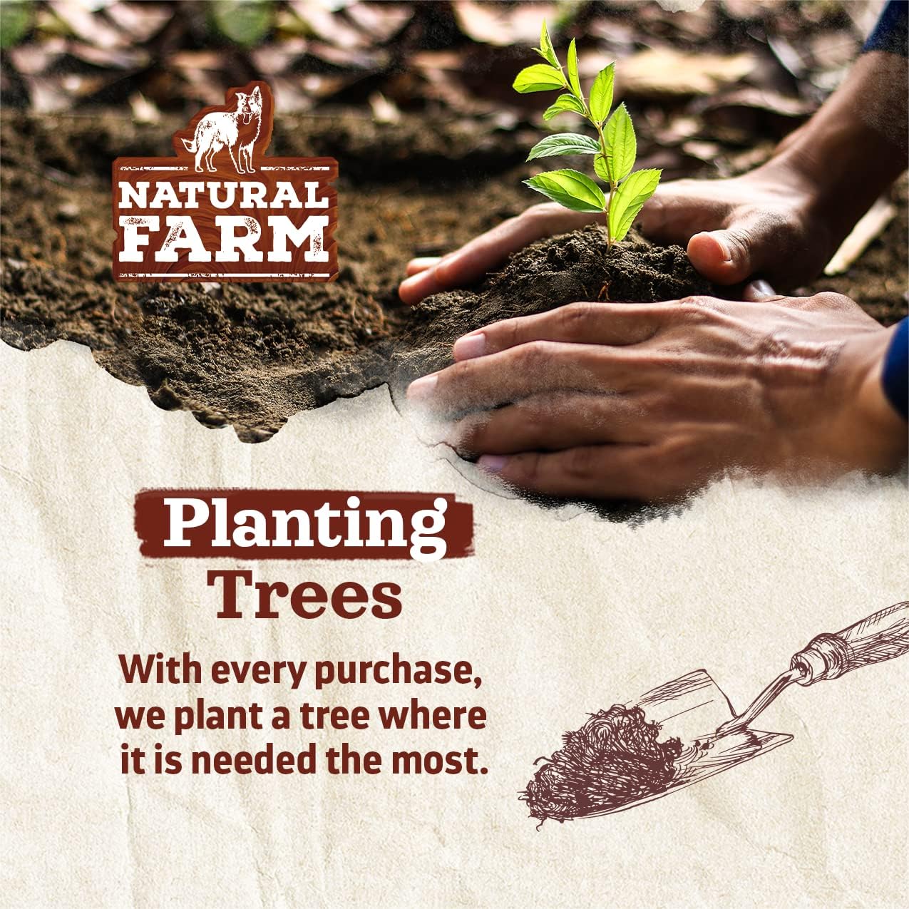 Natural Farm Odor-Free Bully Sticks (6”, 8oz) All-Natural Long-Lasting Chews, 100% Beef Pizzle, Grass-Fed, Grain-Free, Hormone-Free, Protein for Muscle Development & Energy, Perfect for Medium Dogs