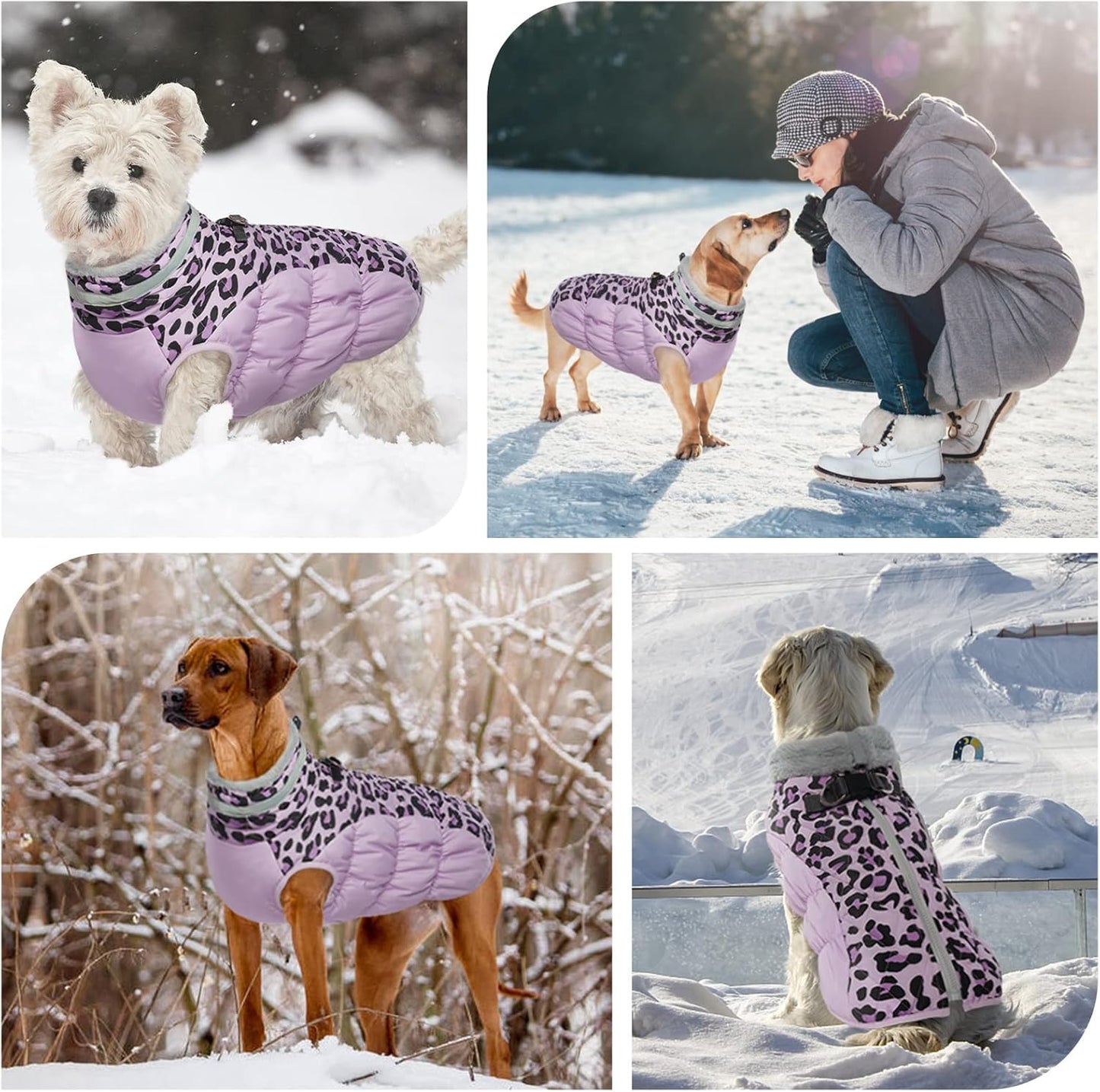 FUAMEY Dog Coat for Large Dogs,Waterproof Dog Winter Jacket with Harness Built in Puppy Cold Weather Coats Reflective Pet Vest with Zipper Warm Fleece Dogs Snowsuit Windproof Purple Leopard L