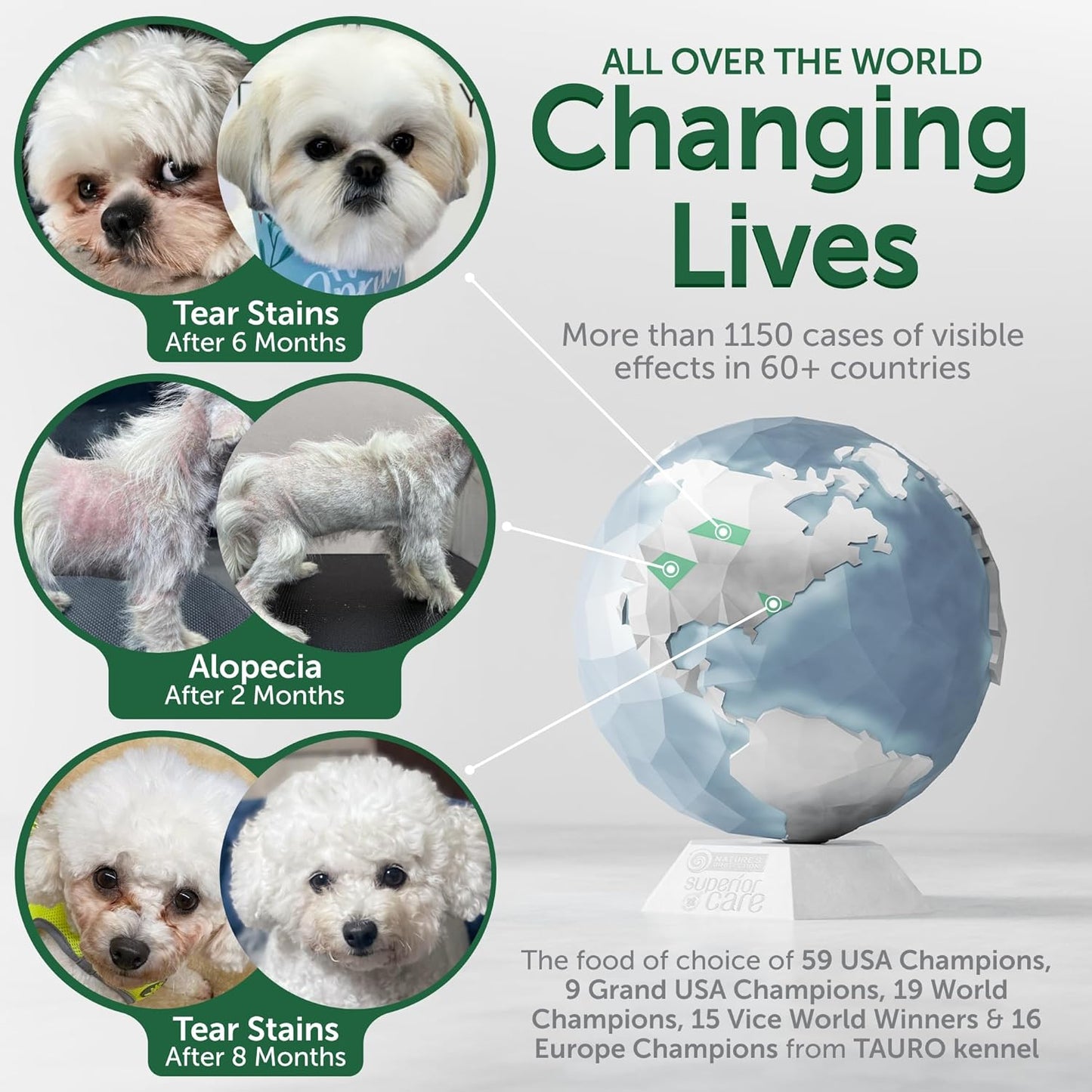 Nature's Protection Grain Free Dry Dog Food for Large Dogs - High Protein, Tear Stain Formula - Bigger Kibble for Adult Dogs with Light Fur (Superior Care - White Fish, 22 lb)