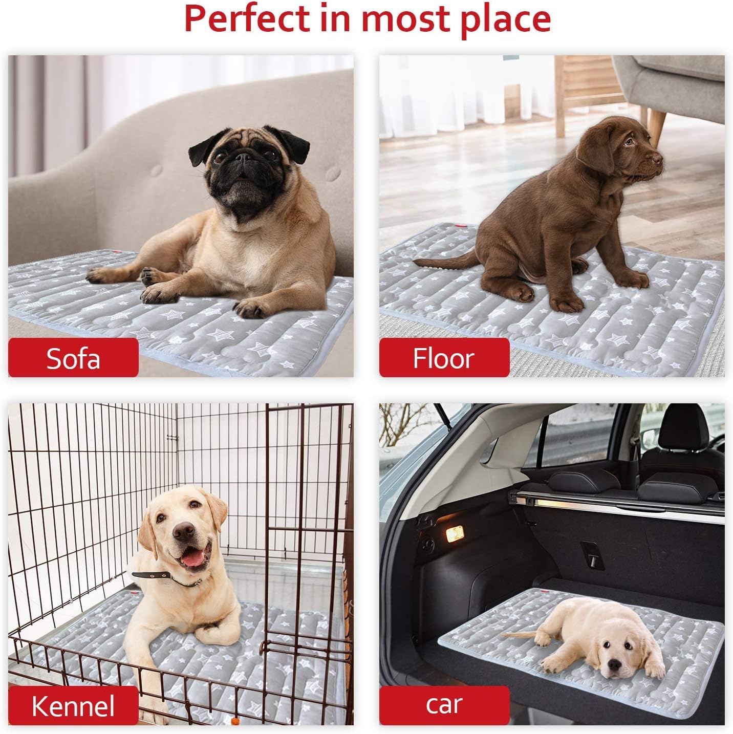 Dog Crate Mat (24" X 18"), Soft Dog Bed Mat with Cute Prints, Personalized Crate Pad, Anti-Slip Bottom, Machine Washable Kennel Pad
