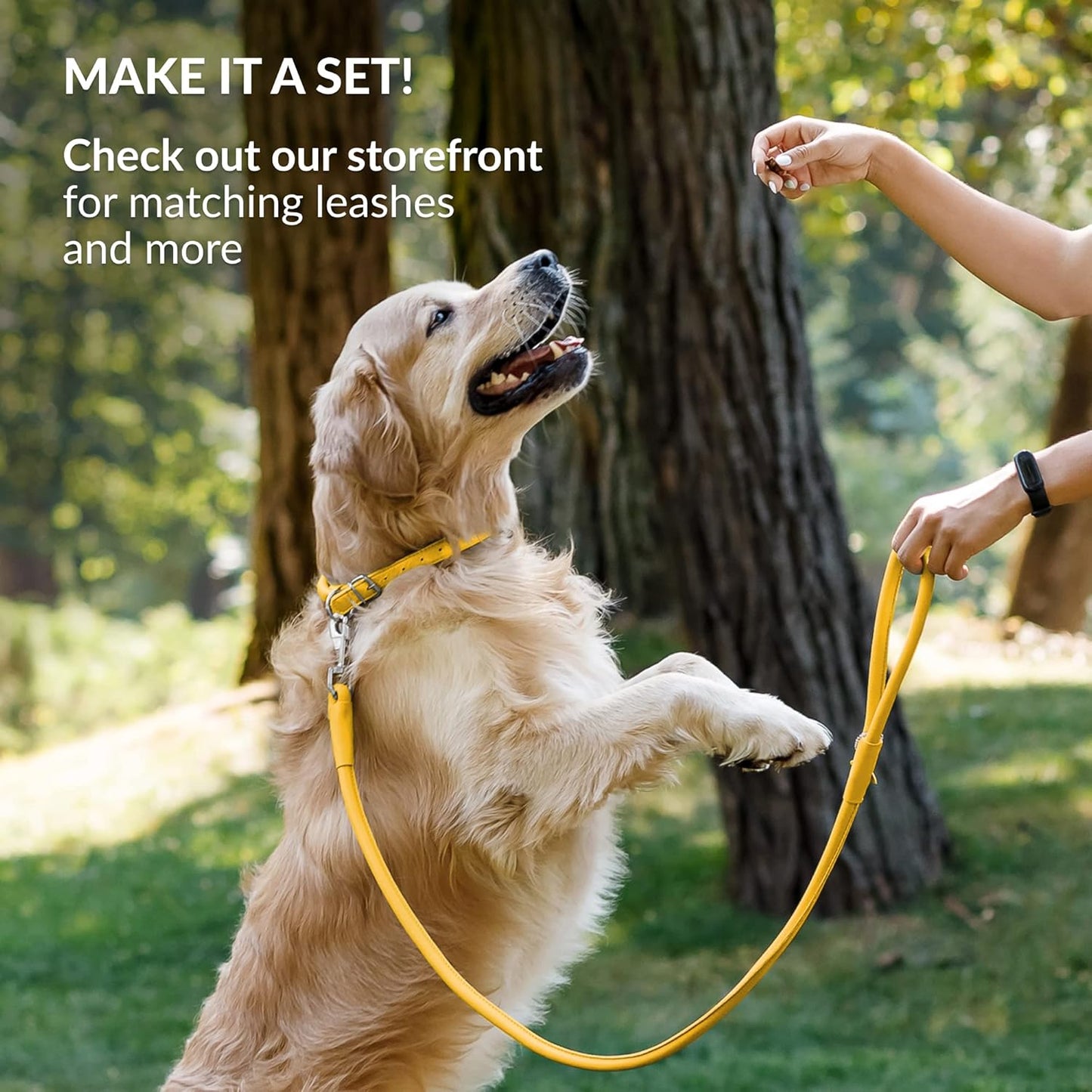 CollarDirect Rolled Leather Dog Collar, Soft Padded Round Puppy Collar, Handmade Genuine Leather Collar Dog Small Large Cat Collars 13 Colors (6-7 Inch, Yellow Smooth)