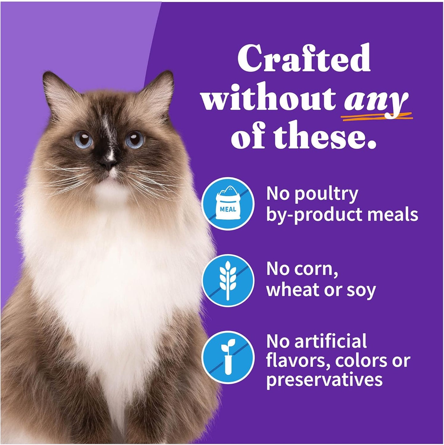 Halo Wet Cat Food Whitefish Recipe, Grain Free Wet Cat Pate, Canned Cat Food for Extra Hydration, 5.5 Oz Can (Pack of 12)