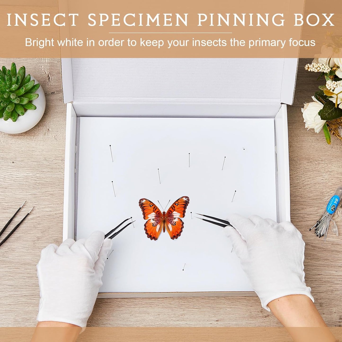Taiyin 2 Sets Insect Pinning Kits Include 2 Insect Pinning Boxes 2 Insect Pinning Boards 100 Insect Pins and 3 Tweezers for Project Bugs Collection and Specimen Displays