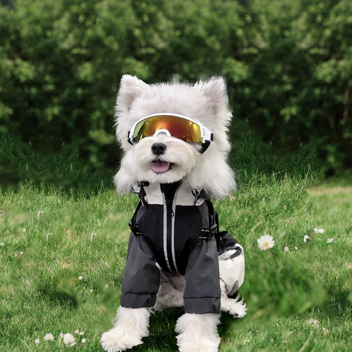 Dog Goggles for Small to Medium Breed, Dog Sunglasses UV Protection, Windproof & Anti-Fog, Puppy Sunglasses with Padded Frame and Adjustable Straps for Outdoor Riding, Driving(White)