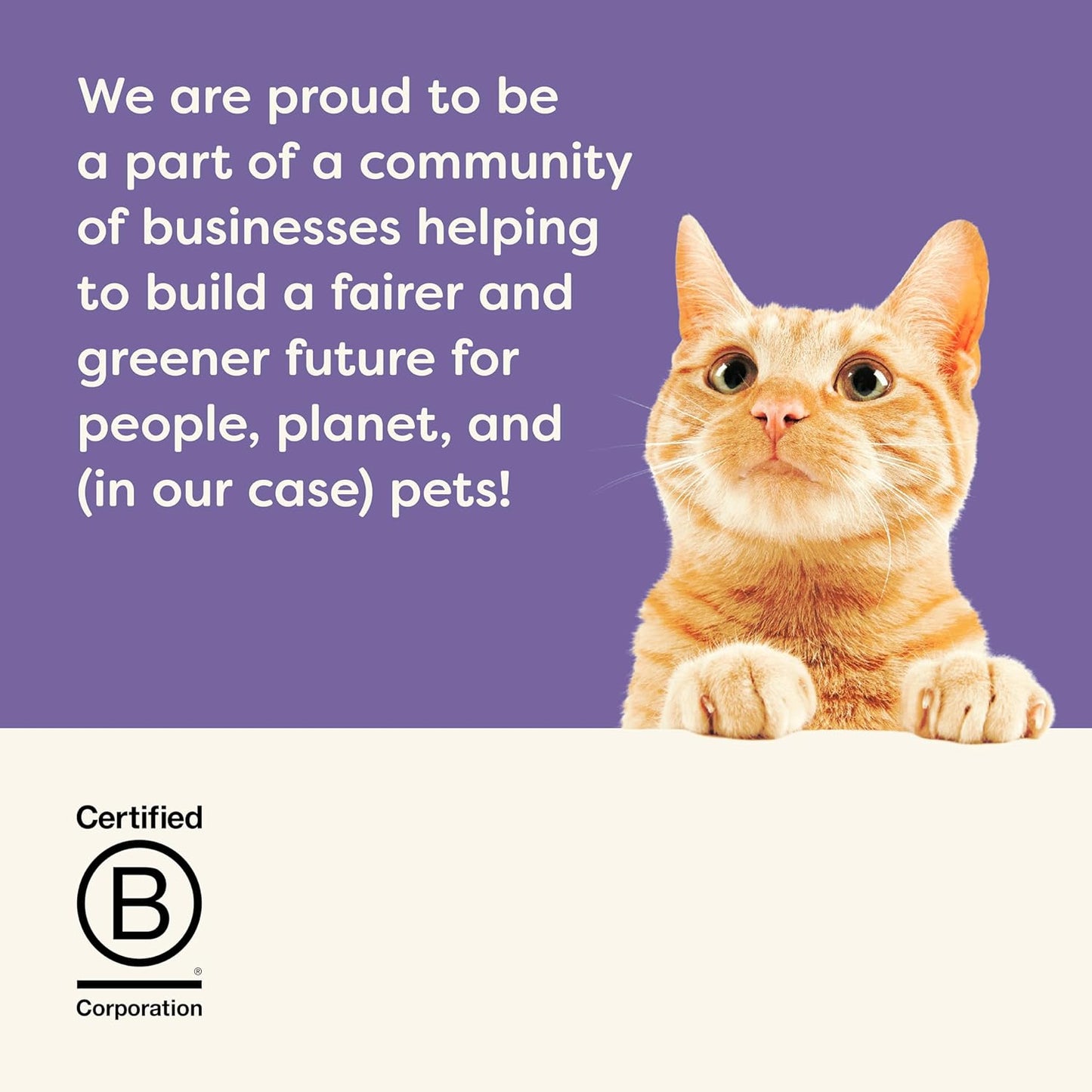 Applaws Natural Wet Cat Food, 8 Count, Limited Ingredient Cat Food Pots, Fish Variety Count in Broth, 2.12oz Pots