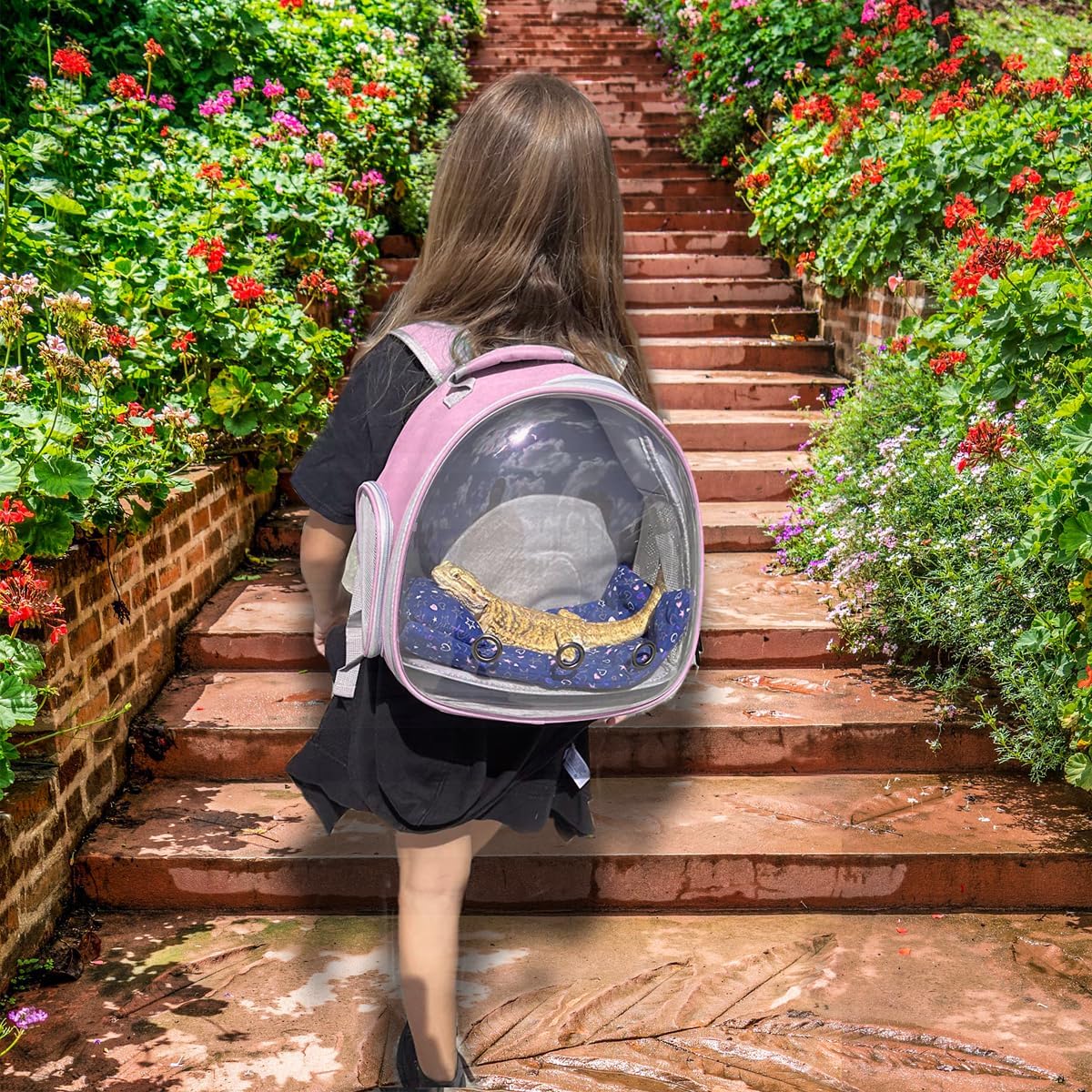 Leopard Gecko Backpack Carrier,Reptile Portable Backpack Carrier with Small Backpack Harness Leash Set,Space Capsule Clear Bubble Window Travel Backpack for Lizard Travel,Guinea Pig,Rabbit