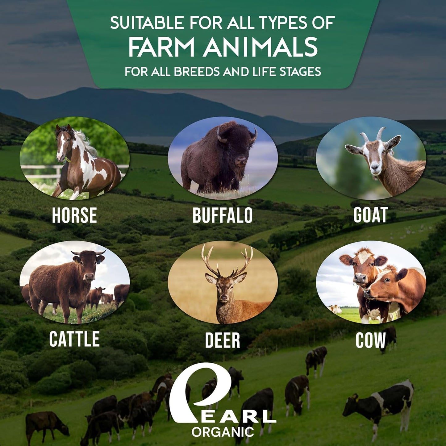 Horse Salt Lick 6lb on Rope for Horse