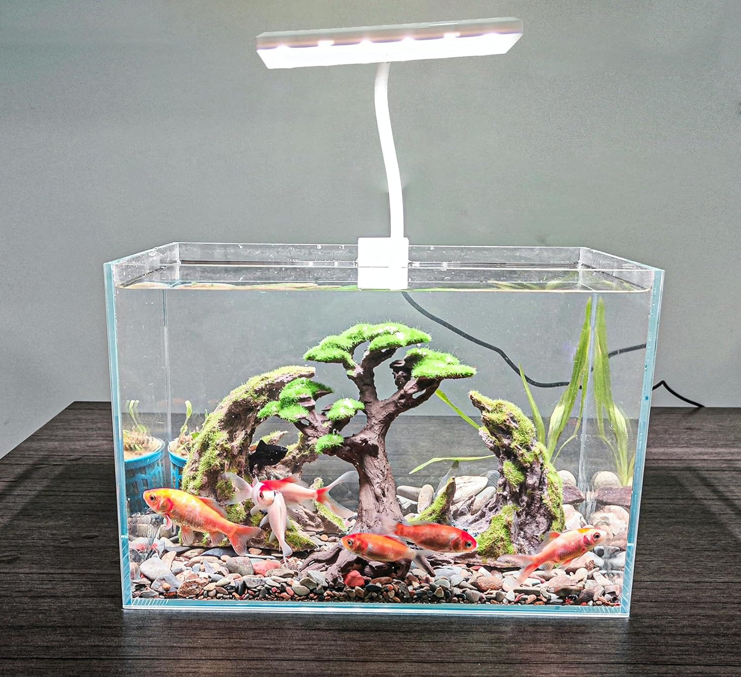 Novelsite Fish Tank Decor- Small Bonsai Trees with Faux Moss- Aquarium Decoration Aqua scaping- Made of Sandstone, Goldfish Betta Fish Tank Decorations