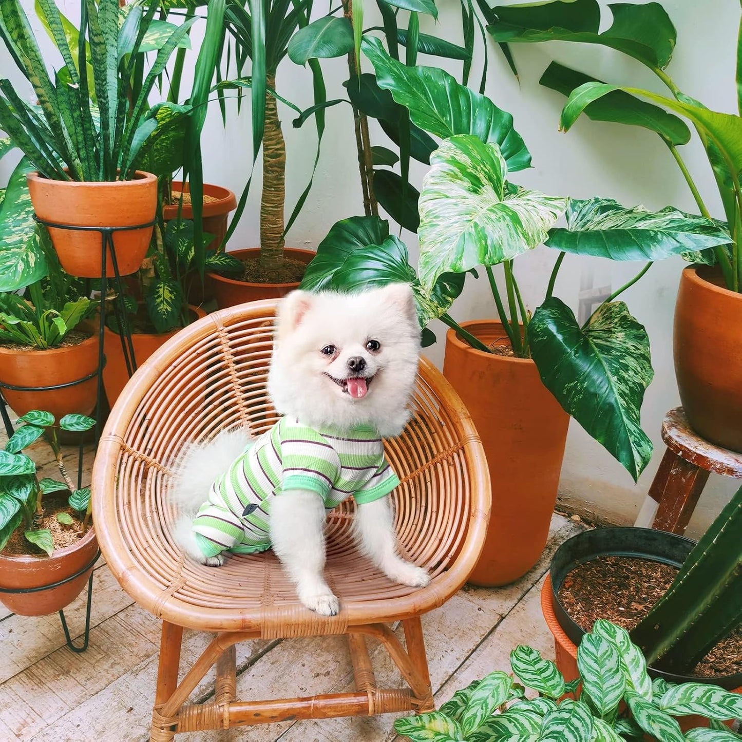 TONY HOBY Dog Pajamas, Male Dog Jumpsuit with Green Stripe, Dogs Clothes for Small Medium Size Dogs (Green&White, Boy, XL)