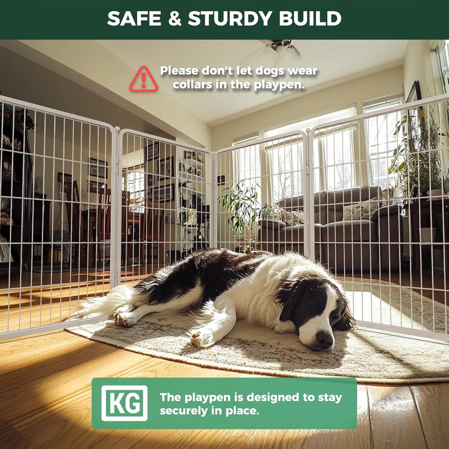 FXW Homeplus Unleashed Indoor Dog Playpen - Stress-Free and Safe Play, Heavy Duty 40 Inch 6 Wire Panels Dog Pen for Medium and Large Dogs, White│Patented