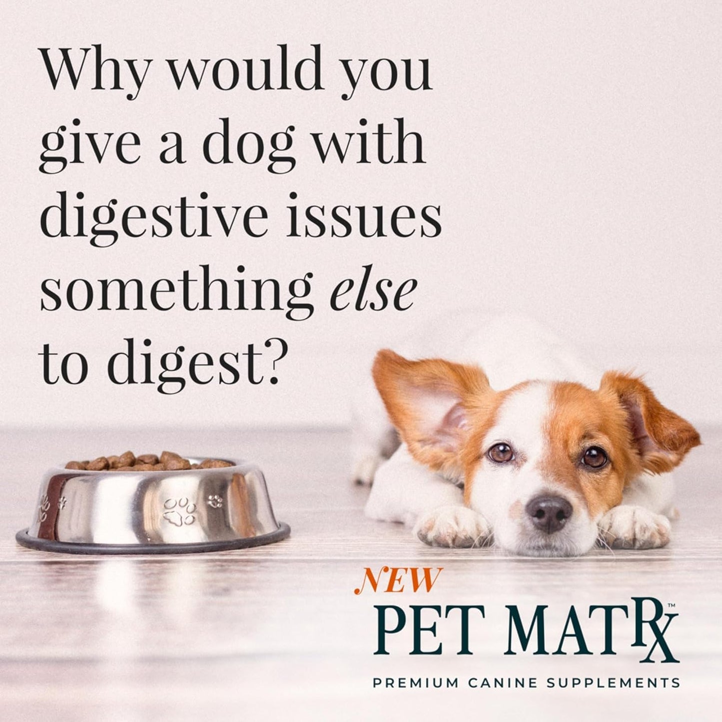 Think Cognitive and Calming Supplement with Collagen and Magnesium - Supports Nervous System Against Stress, Behavioral Challenges, and Cognitive Issues (Large/X-Large)