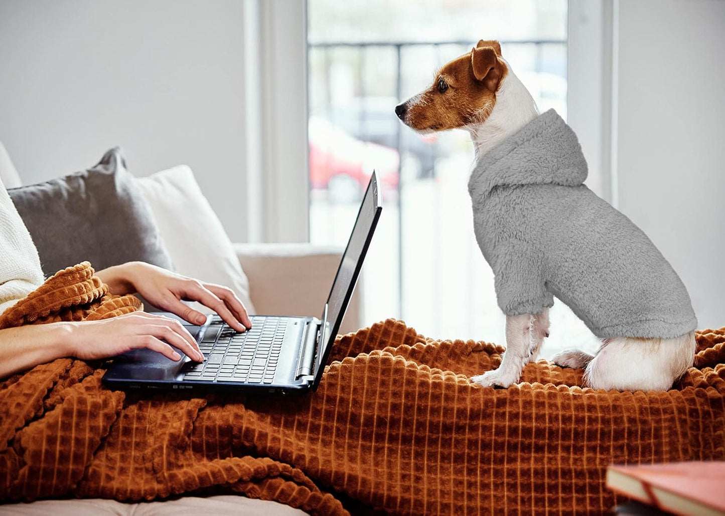 Fuzzy Dog Sweaters for Small Dogs Dog Hoodie Pet Clothes Warm Soft Cozy Coats Hooded Sweatshirt Fleece Small Pet Hoodies Sweater(Grey-XS)