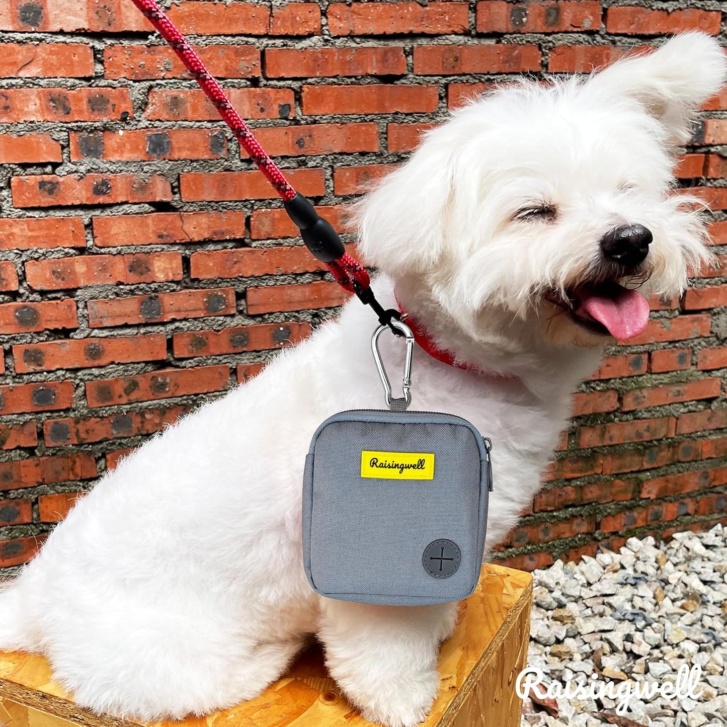 Dog Treat Pouch for Pet Walking and Training with Clicker Poop Bags Small Fanny Zipper Pack Holder for Puppy Snack Dispenser Kit for Leash and Outdoor Use (Gray)