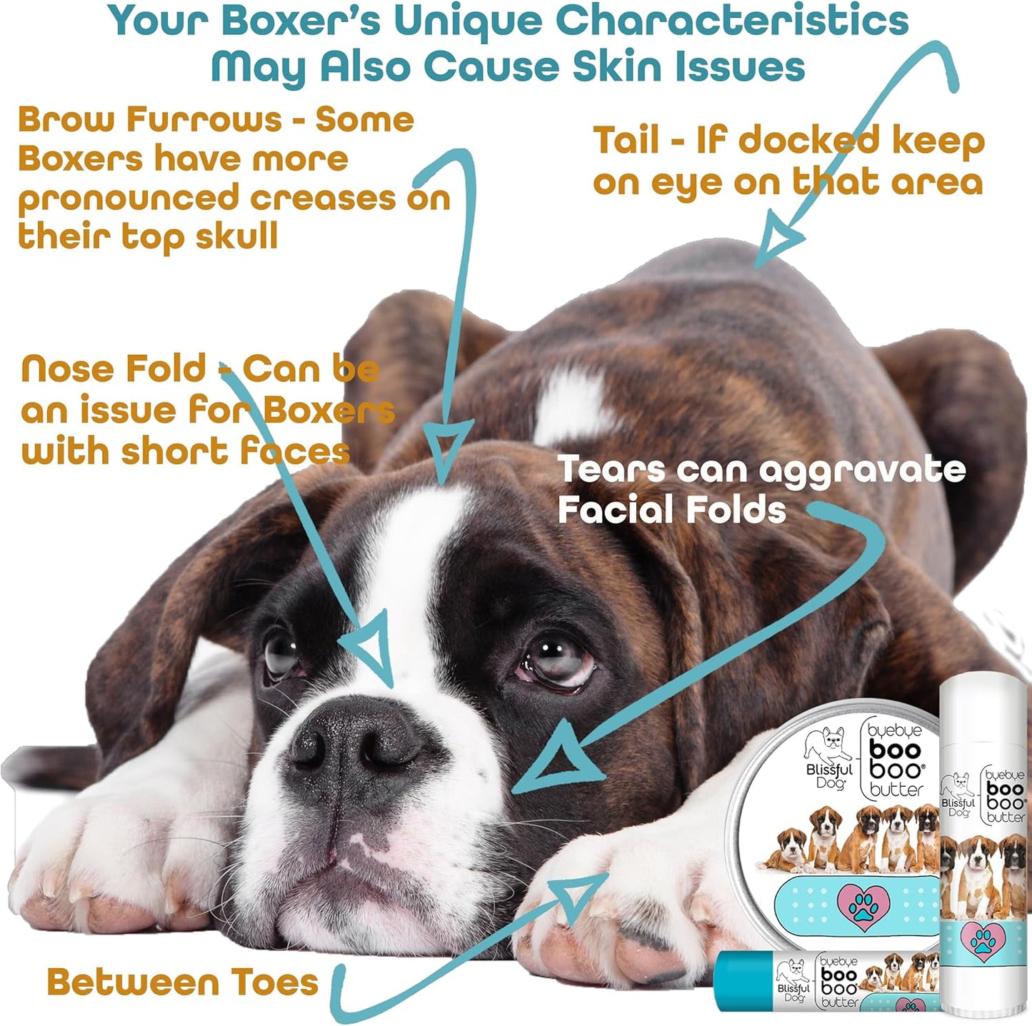 The Blissful Dog 8 oz TIN Boxer Booboo Butter