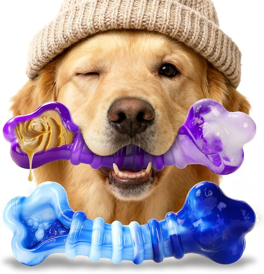 Top 5 Most Durable Dog Toys for Large Breeds in 2026