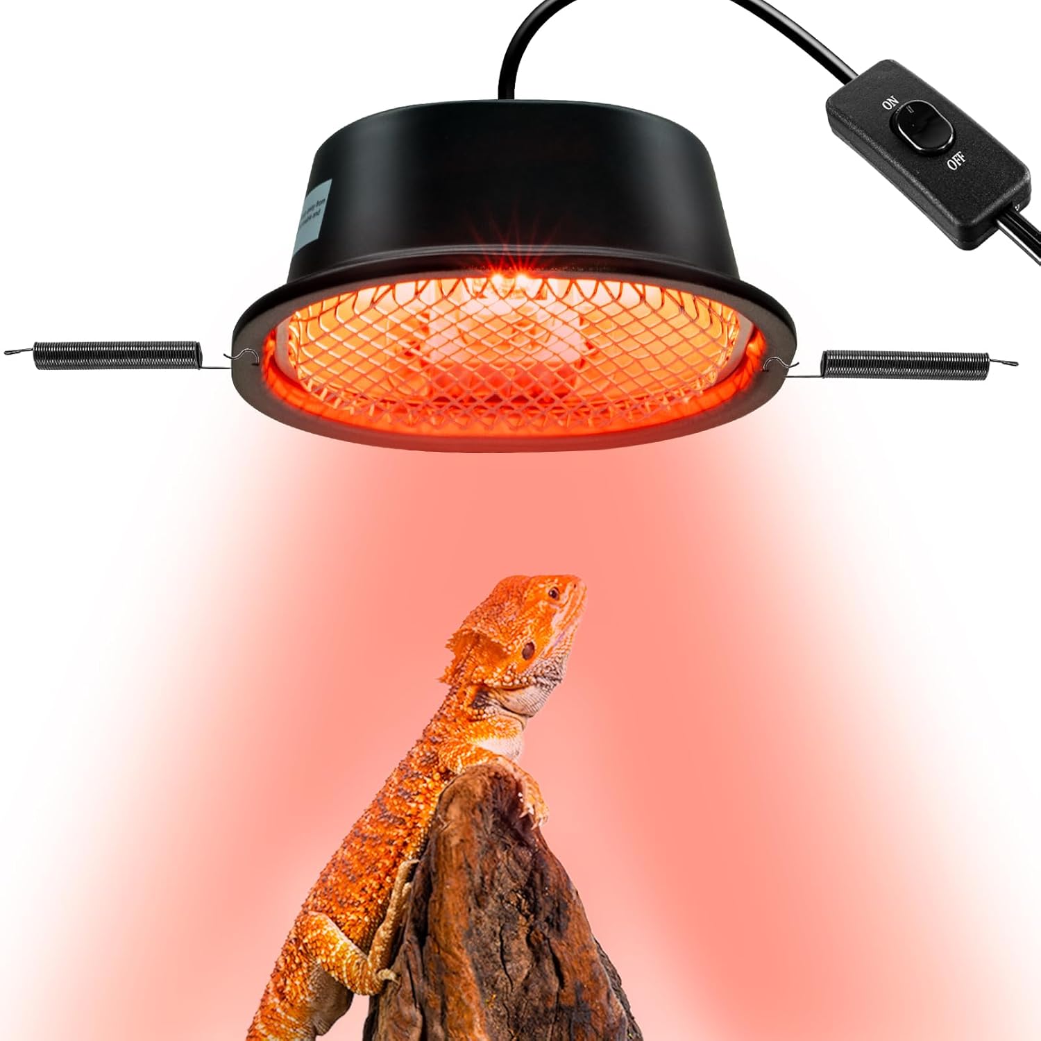 Terrarium Heat Lamps & Mats