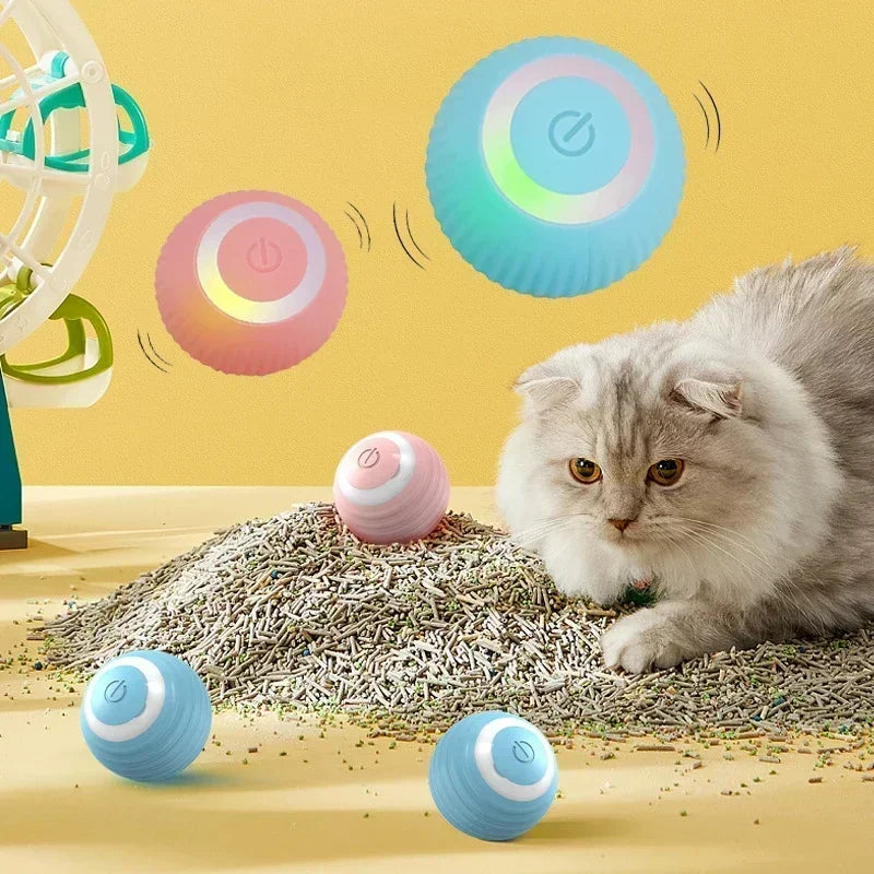 Playtime & Toys