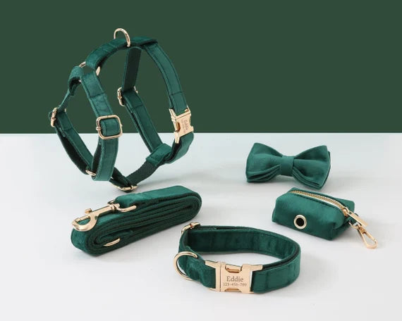 Collars, Harnesses & Leashes