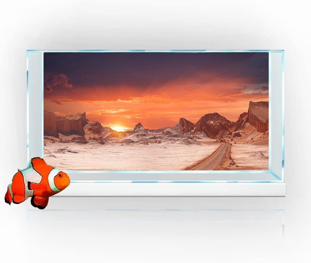 72X16IN Sun and Desert Moon Themed Reptile Habitat on Orange Durable Decorative Background, Terrarium Background with 10EVA Double-Sided Tape