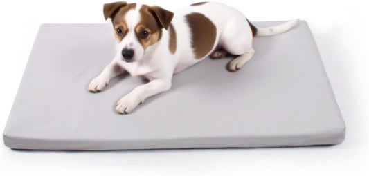 Dog Mat,19"x 30"Dogs Crate Pad,Indoor Non-Slip & Waterproof Dog Mat,Easy Wipe Clean in Seconds，Sleeping for Floor,Car,Sofa,Crate