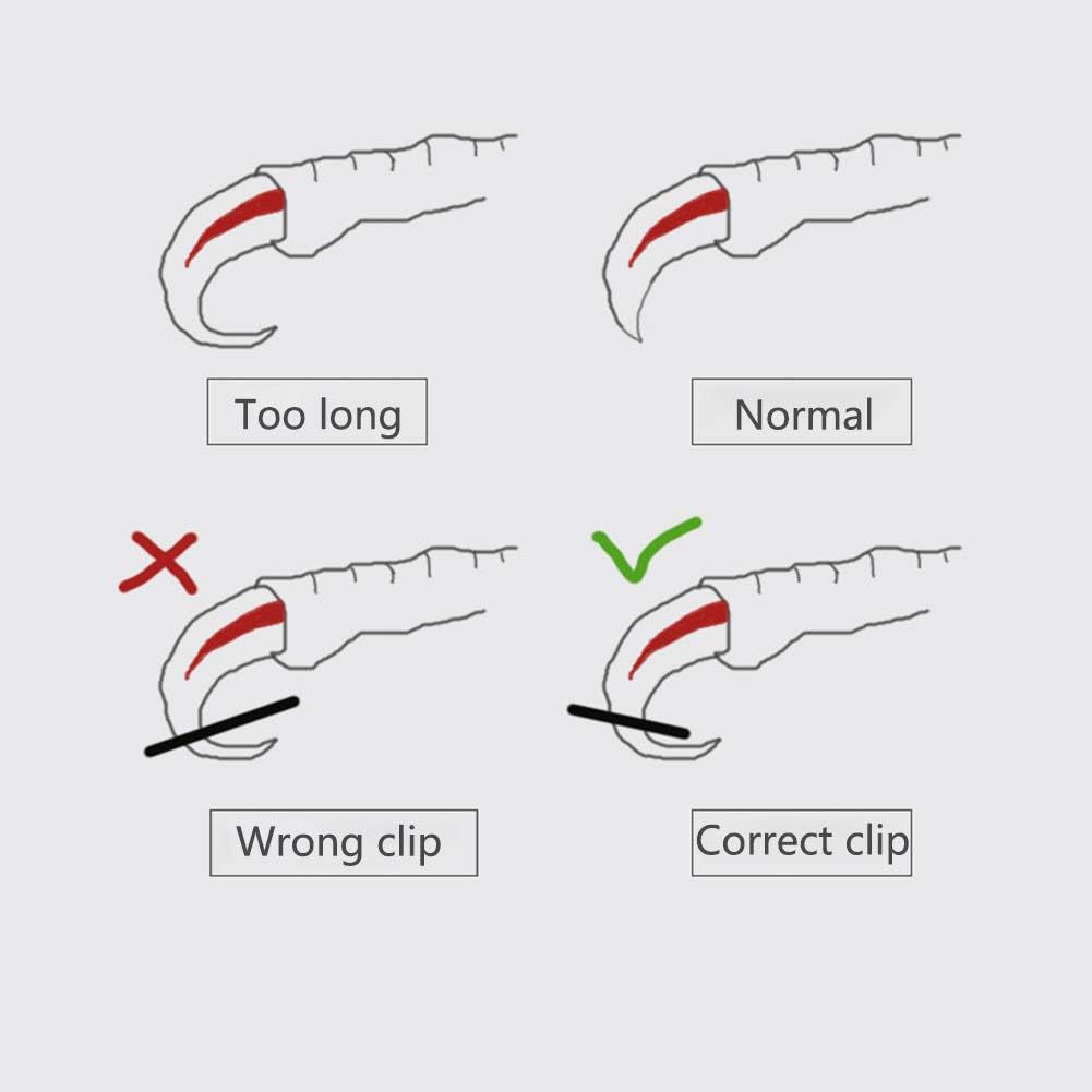 OMEM Bird Nail Clippers with Grinding Nail Scissors Tool Pet Parrot Claw Care (Blue,S)