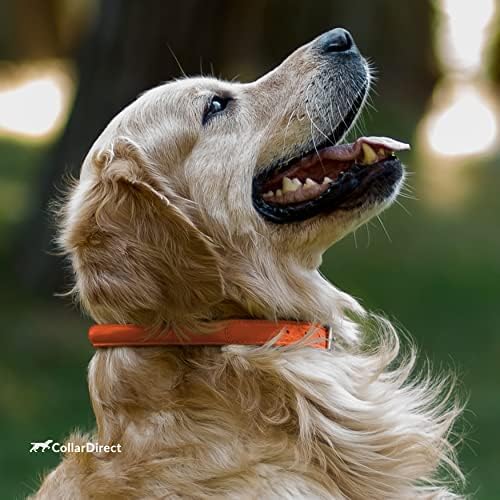 CollarDirect Rolled Leather Dog Collar, Soft Padded Round Puppy Collar, Handmade Genuine Leather Collar Dog Small Large Cat Collars 13 Colors (13-16 Inch, Orange Textured)