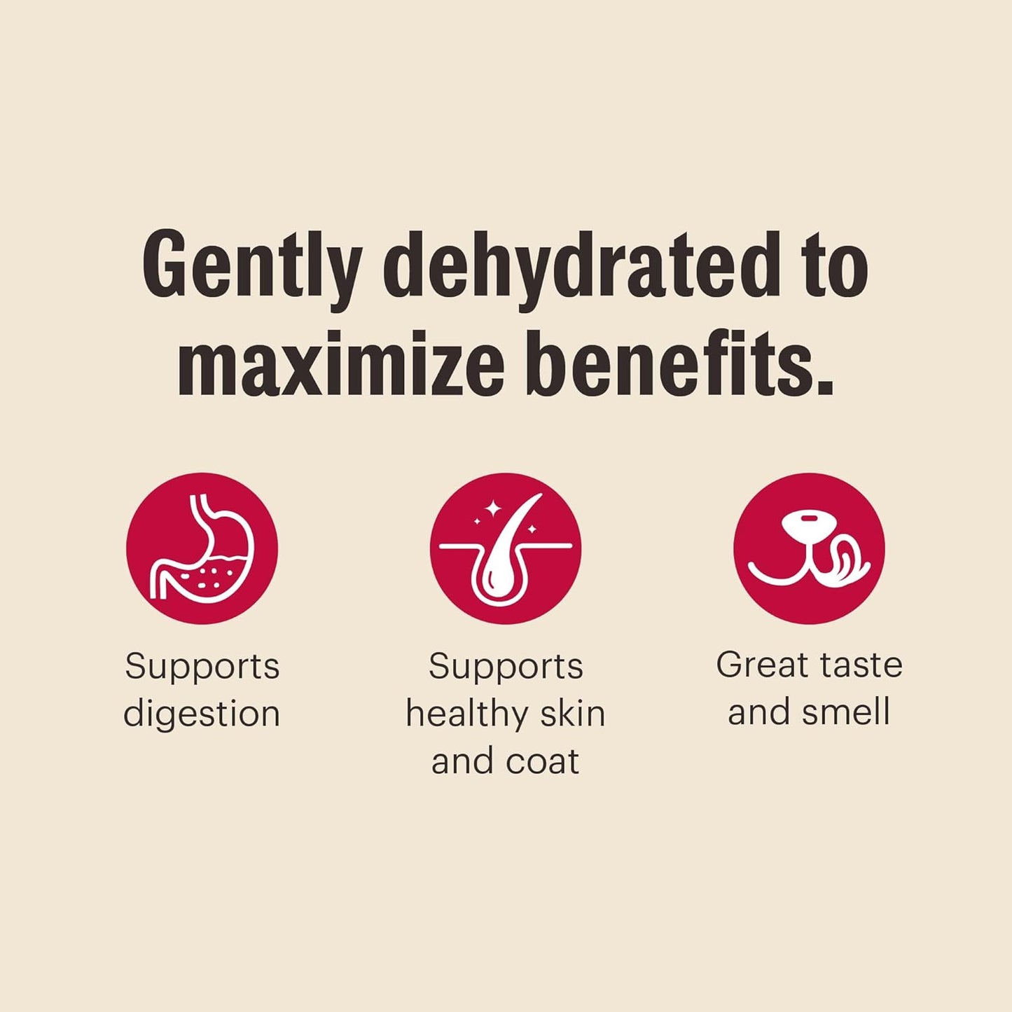 The Honest Kitchen Wholemade™ Grain Free Fish Dog Food, 4 lb Box