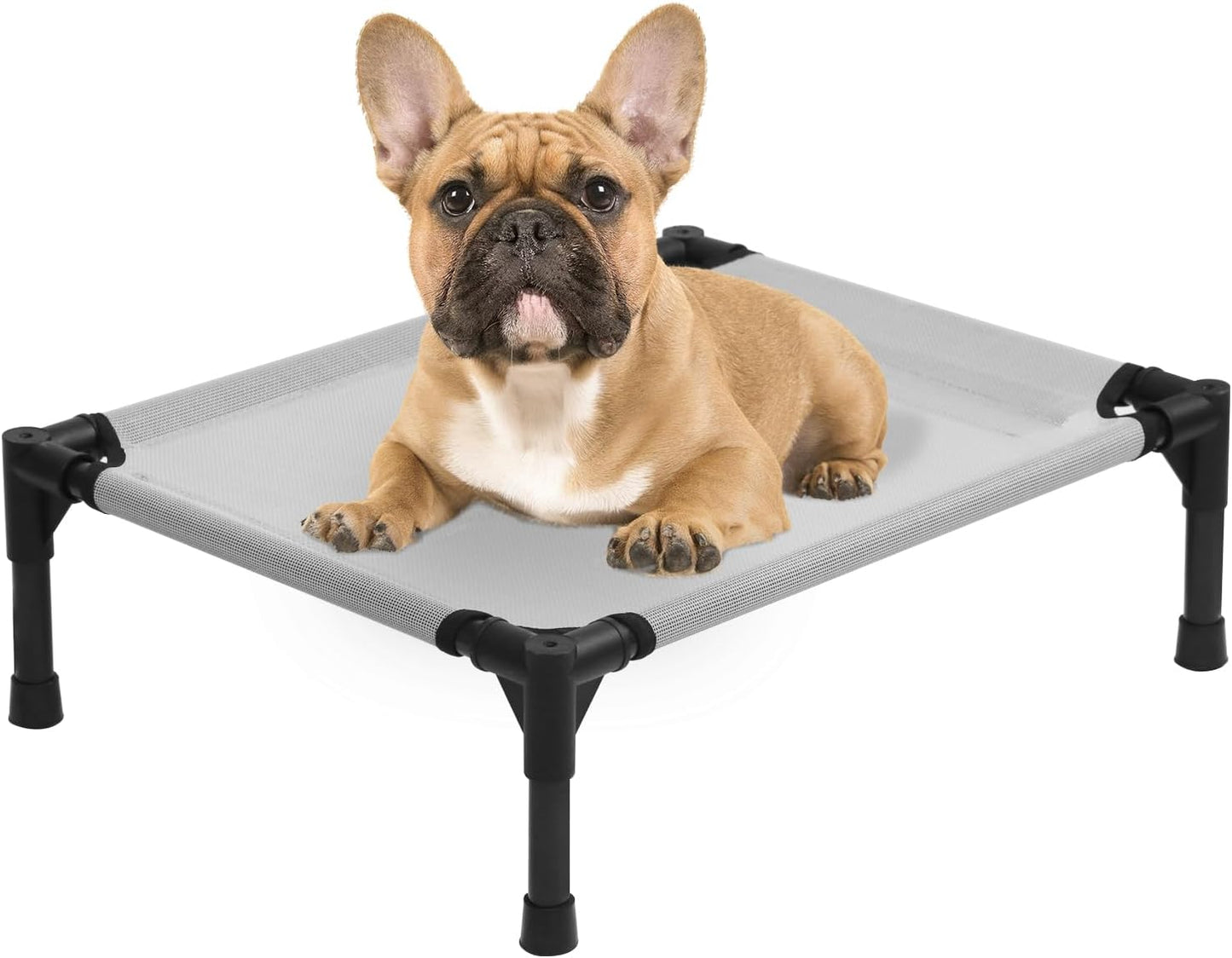 Small Elevated Dog Bed 22 Inch - Puppy Cooling Cot with Removable Washable Breathable Mesh, Raised Dog Cots Beds for Indoor and Outdoor, Grey